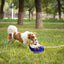 Fuente de Agua Multifuncional para Perros Gbruno y Aspersor