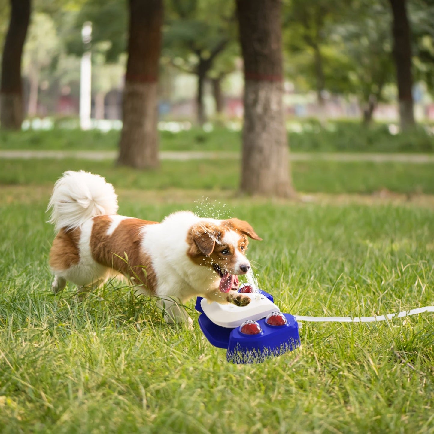 Fuente de Agua Multifuncional para Perros Gbruno y Aspersor