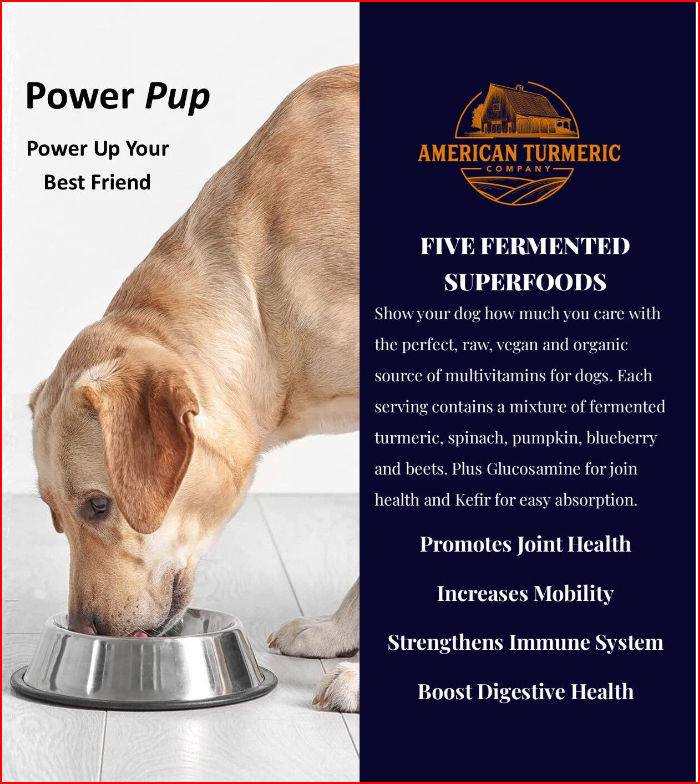 Power Pup Fermented Superfood Turmeric Powder for Pets - Korvel