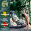 Detox Tea – Stinging Nettle, Dandelion Root & Hibiscus (Wildcrafted Blend)