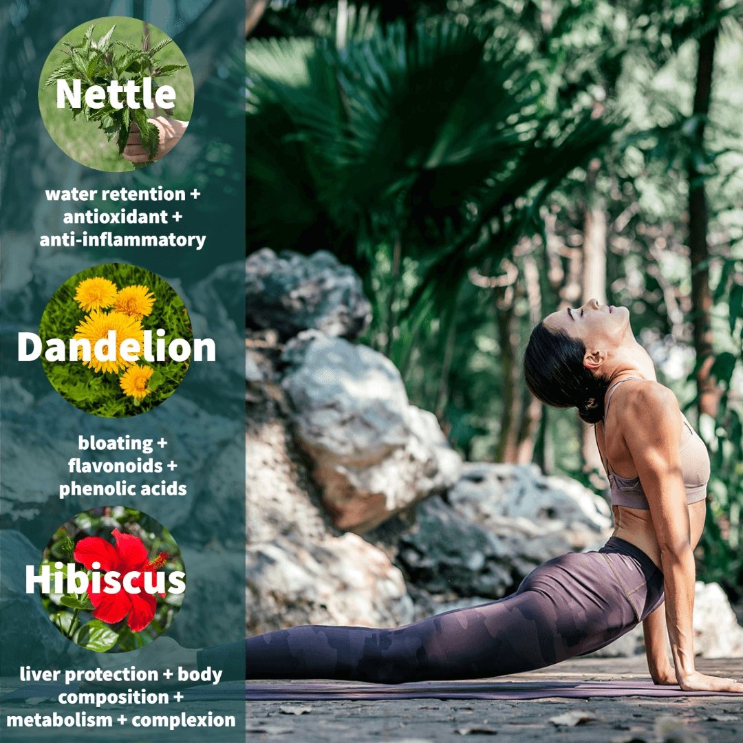 Detox Tea – Stinging Nettle, Dandelion Root & Hibiscus (Wildcrafted Blend)