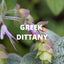 Digestion Tea – Dittany of Crete, Peppermint & Rosemary (Greek Herbal Blend) - Korvel