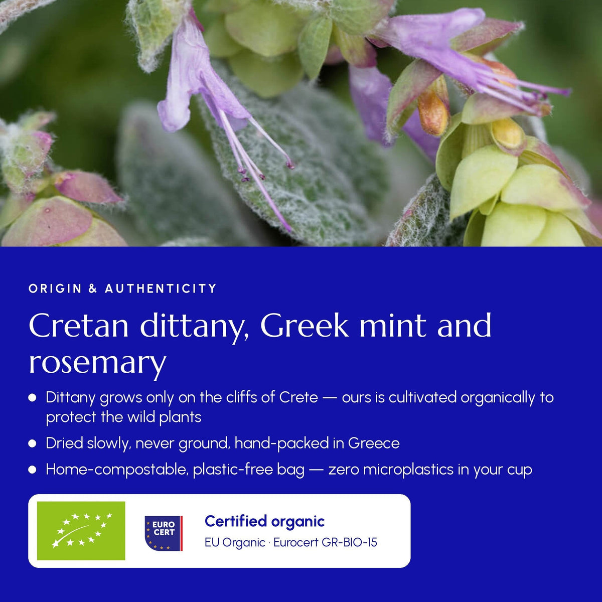 Digestion Tea – Dittany of Crete, Peppermint & Rosemary Blend