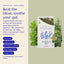 Digestion Tea – Dittany of Crete, Peppermint & Rosemary Blend