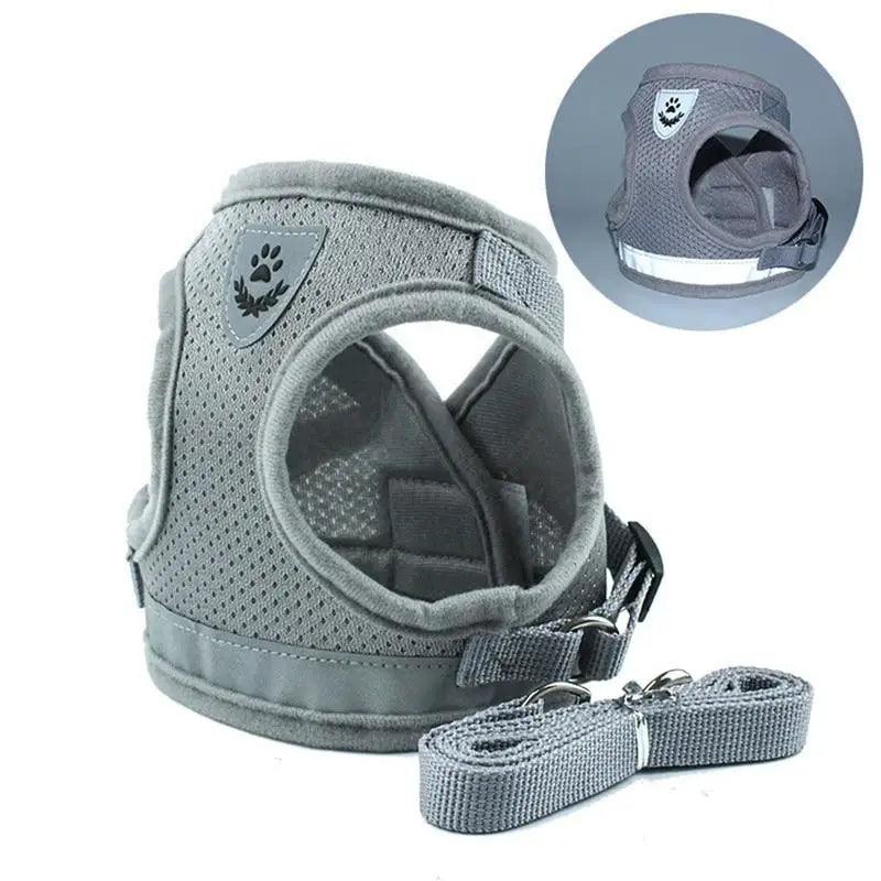 Reflective Dog Harness and Leash Set for Small to Medium Dogs