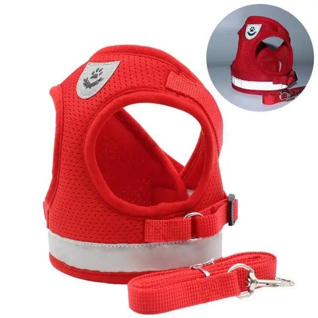 Reflective Dog Harness and Leash Set for Small to Medium Dogs