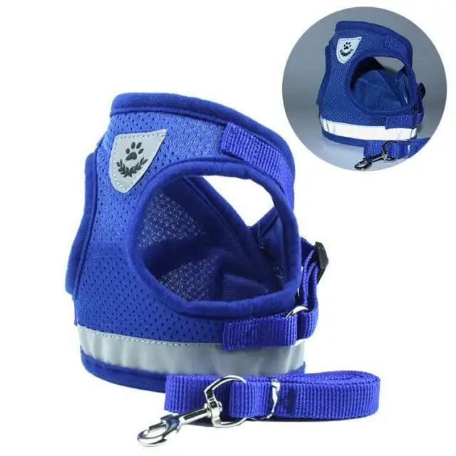 Reflective Dog Harness and Leash Set for Small to Medium Dogs