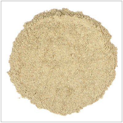 Poudre de racine de Dong Quai premium