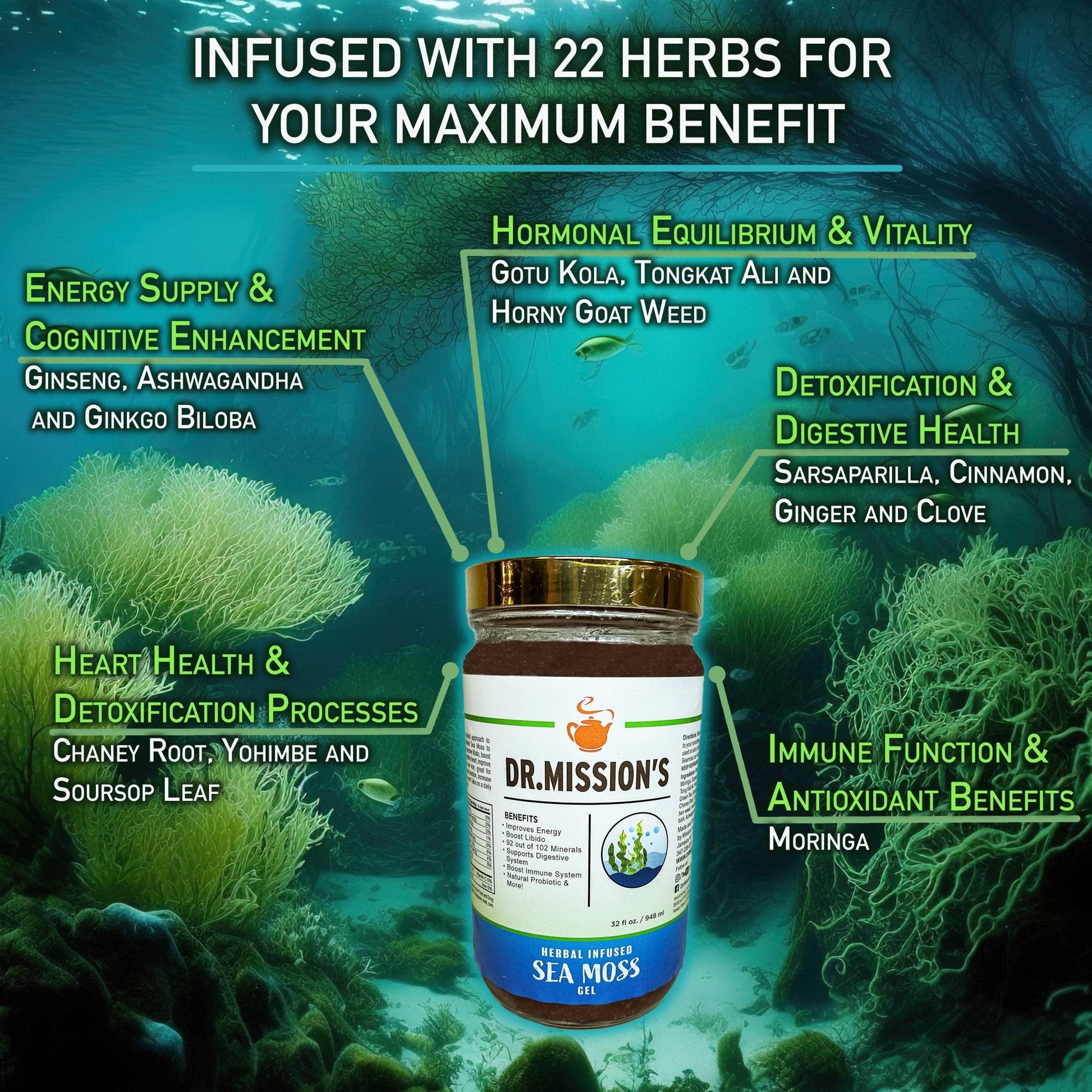 Dr. Mission Sea Moss Gel - Korvel