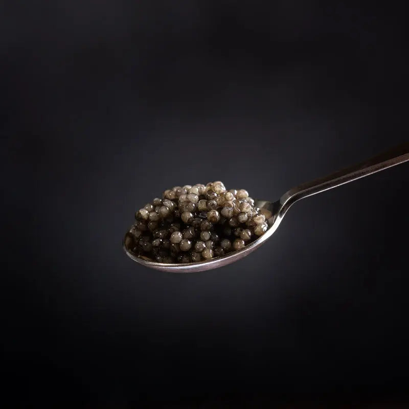 Caviar de Sturgeon Blanc Premium – Sourced Durable et Frais