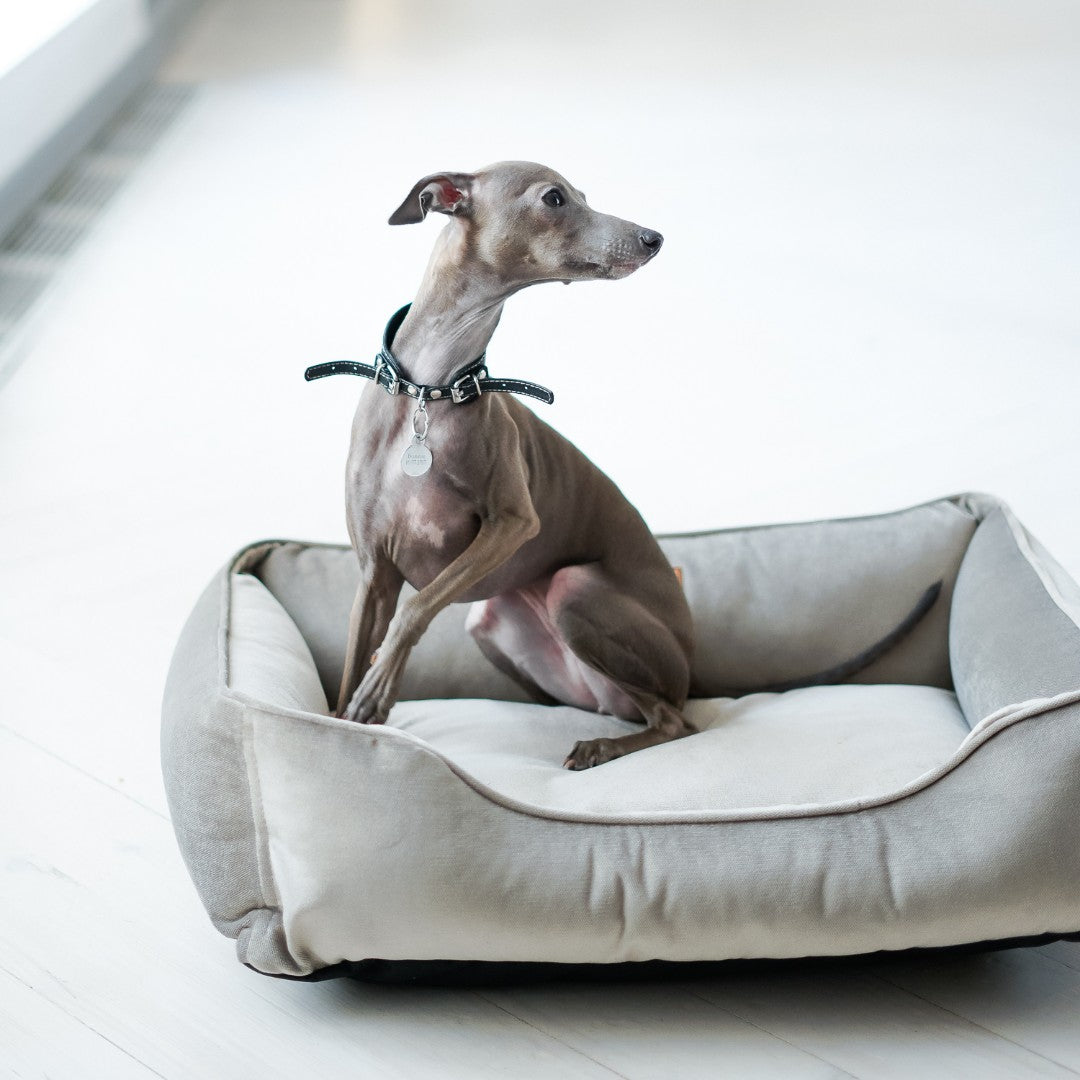 Luxurious Velvet Orthopedic Dog Bed in Gray
