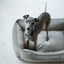 Luxurious Velvet Orthopedic Dog Bed in Gray