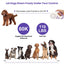 GBruno 16FT Retractable Dog Leash with Spotlight