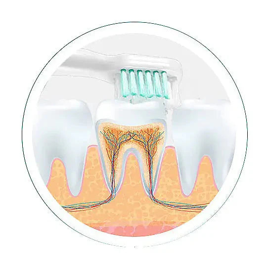 Cepillo de dientes electroacústico ultrasónico con dos cabezales de cepillo adicionales