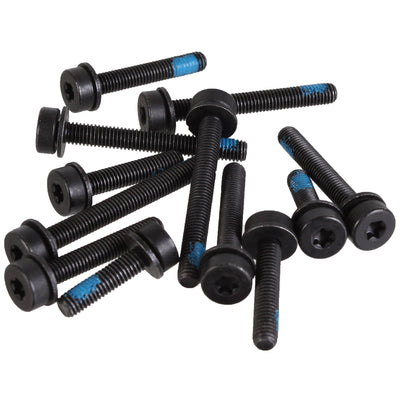 Magura T25 Flat Mount Screw Set - 12 Count Kit