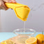 Premium Manual Lemon Squeezer with Fold Flat Design