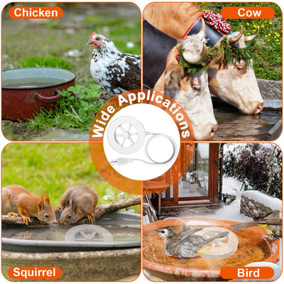 GBruno 70W Bird Bath Heater