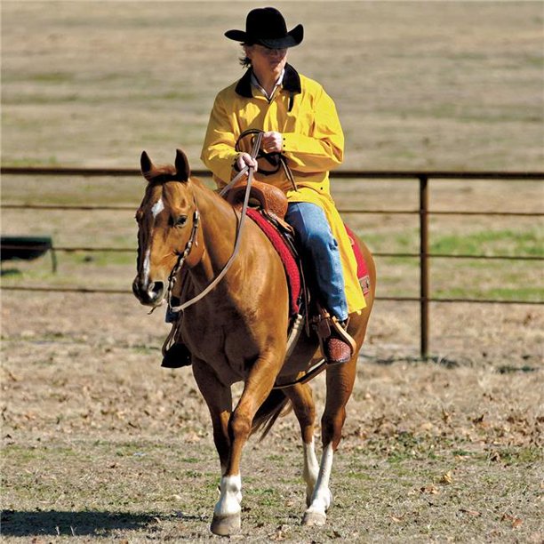 Yellow Saddle Slicker - Korvel
