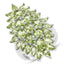 Anillo de Compromiso de Peridoto Genuino de 8.89 Quilates en Plata Esterlina .925