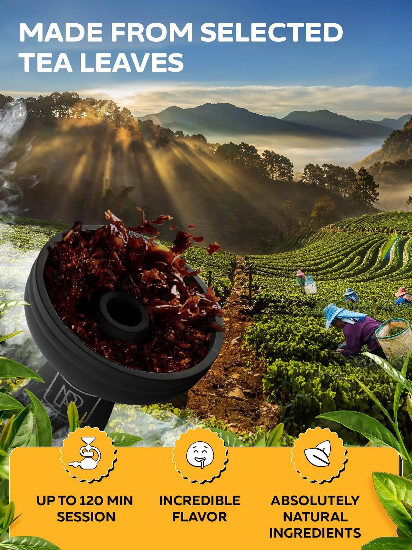 Fruity Shisha Hookah Flavor Set - 100g Premium Tobacco