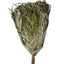 Eucalyptus Venik - Whisk - Korvel