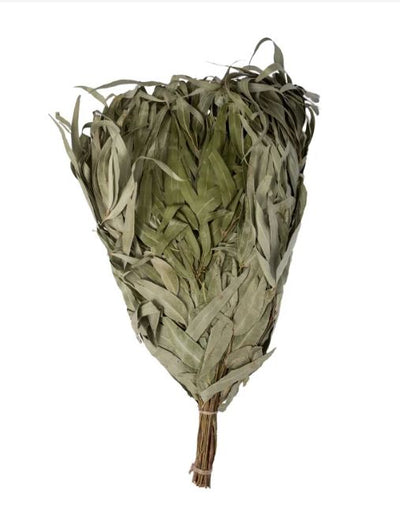 Eucalyptus Venik - Whisk - Korvel