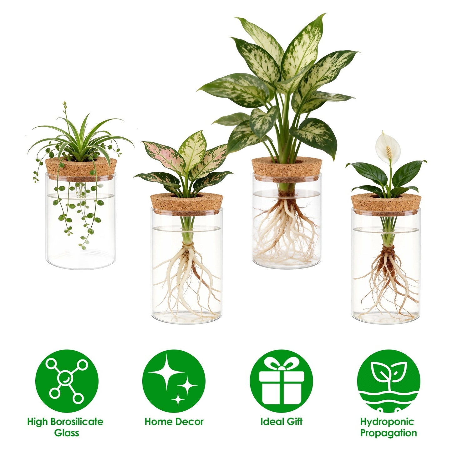 Ensemble de 4 stations de propagation en verre pour plantes d'intérieur