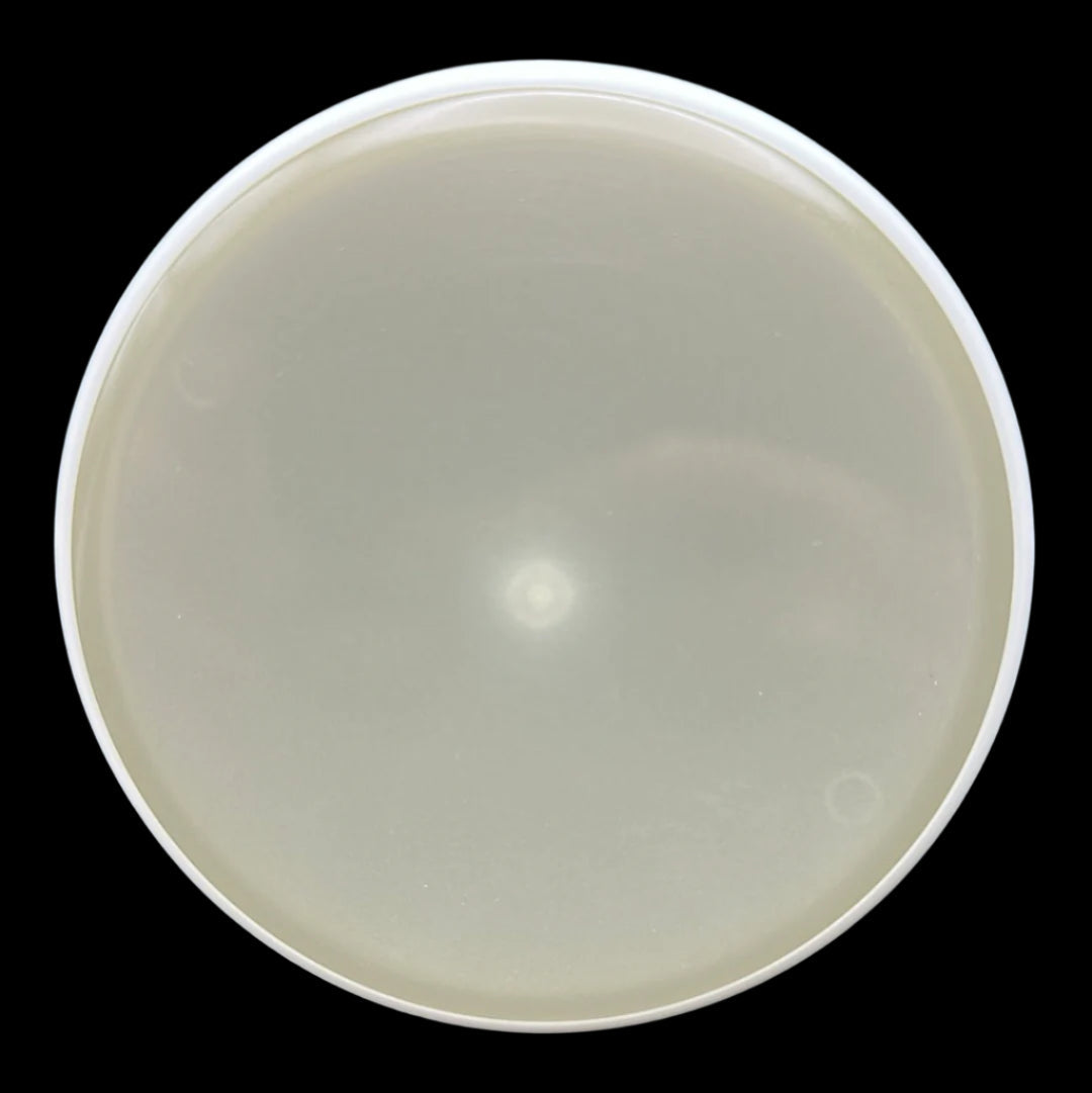Eclipse 2.0 Nano - Luminous Mini Disc - Korvel