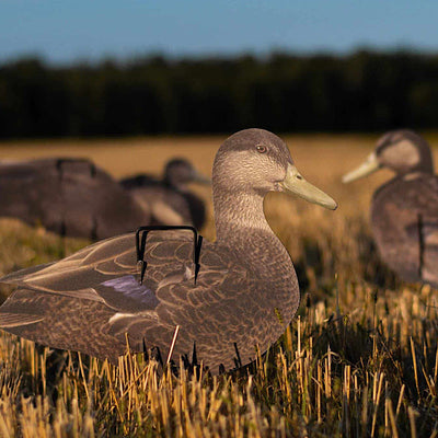 Pro II Lite Black Duck Silhouette Decoys