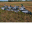 Canards Pro II Lite Mallards - Légers et Durables