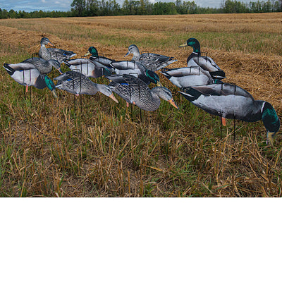 Pro II Lite Mallards Decoys - Lightweight & Durable
