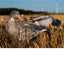 Canards Pro II Lite Mallards - Légers et Durables