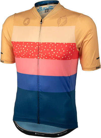 Salsa Team Polytone Men's Jersey - Goldenrod Dark Blue Stripes