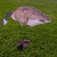 Silo Adapter Kit for Enhanced Decoy Motion - Korvel