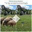 GBruno Ultrasonic Animal Repeller