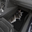 Tapis de voiture élégants pour chats - Ensemble de 4 | Accessoires premium