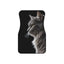 Tapis de voiture élégants pour chats - Ensemble de 4 | Accessoires premium
