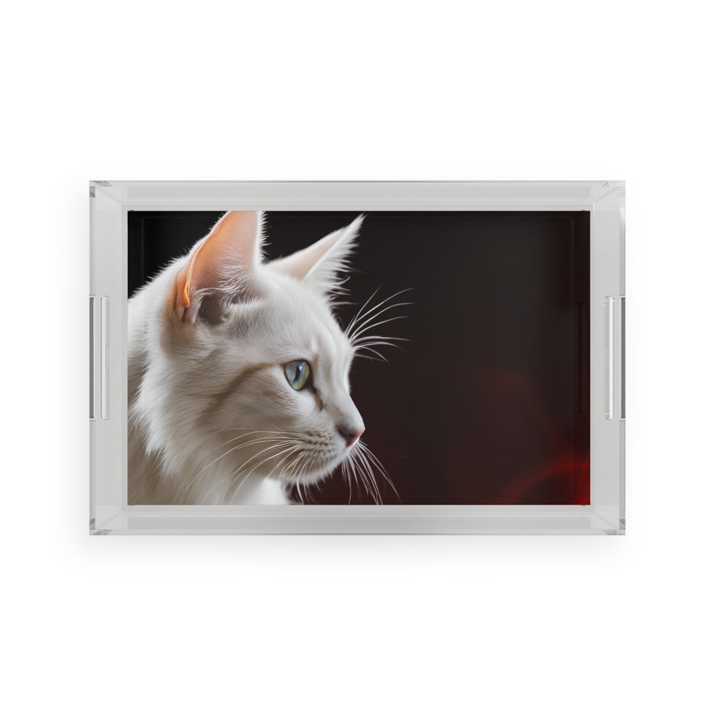 Plateau de service en acrylique élégant sur le thème des chats