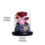 Osito de Peluche Rosa Roja Encantada en Domo de Cristal con Luz LED