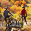 Aventon RAMBLAS eMTB - Korvel