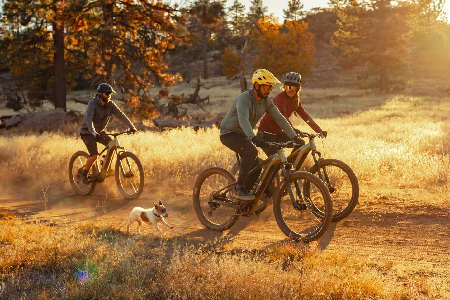 Aventon RAMBLAS eMTB - Korvel