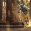Aventon RAMBLAS eMTB - Korvel
