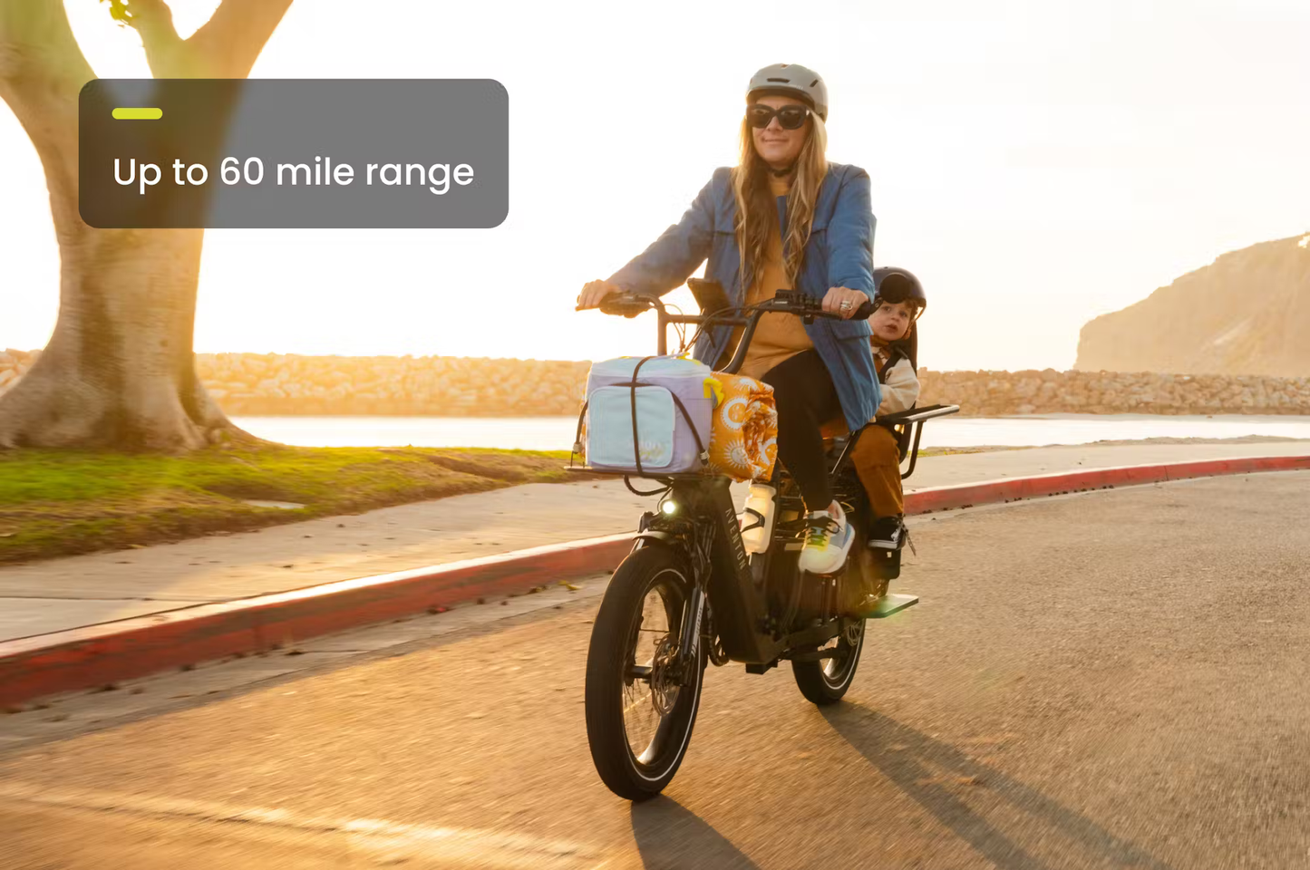 Aventon Abound LR Electric Cargo Bike - Korvel