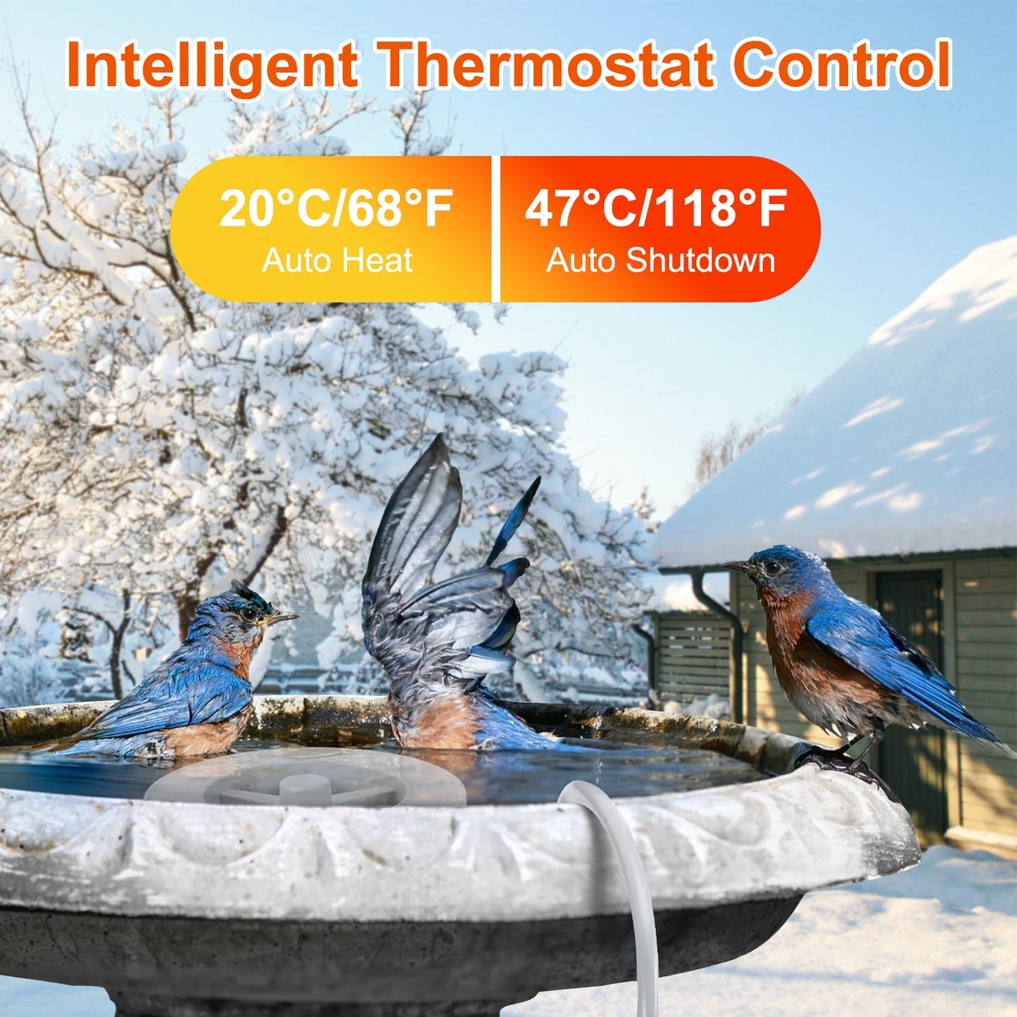 GBruno 70W Bird Bath Heater