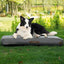 Tapis de Voyage Gonflable Imperméable PawPal Oasis pour Chien
