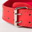 Vellmara Ultimate Back Support Belt for Weightlifting - Korvel