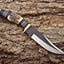 Artisan Crafted 1095 Steel Hunting Knife with Antler & Exotic Wood Handle – 11" | KBS Knives - Korvel
