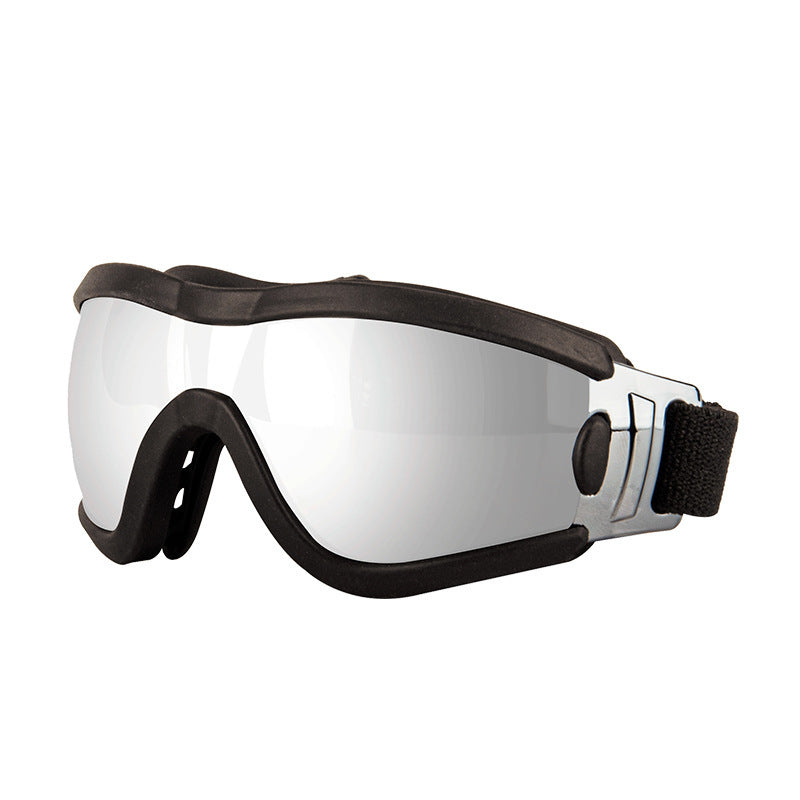 Lunettes de soleil élégantes pour animaux de compagnie avec protection UV