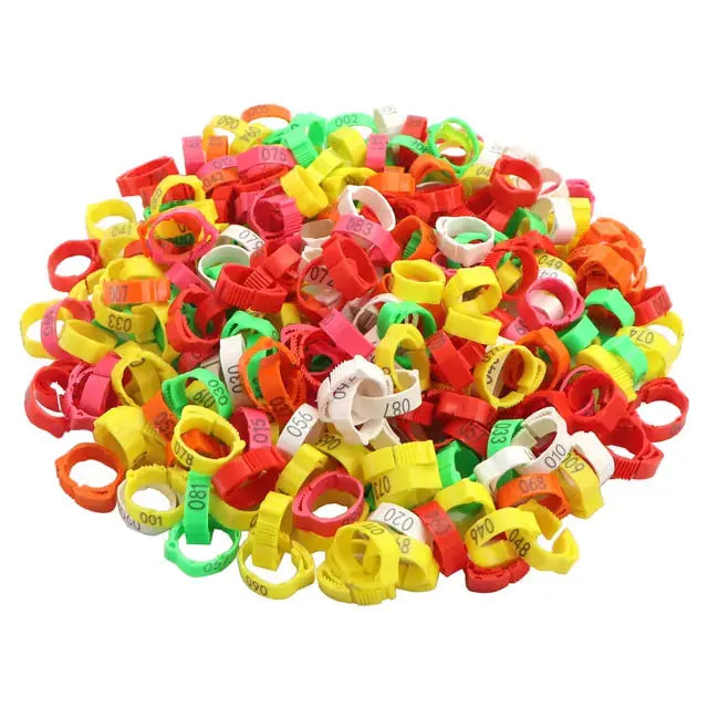 Anillos para patas de pollo - Edición Clucktastic