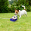 Fuente de Agua Multifuncional para Perros Gbruno y Aspersor